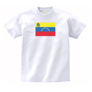 韓国 国 国旗 Tシャツ : うえきたや - 通販 - Yahoo!ショッピング