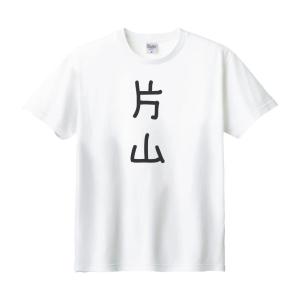 岩田 名前 苗字 Tシャツ : うえきたや - 通販 - Yahoo!ショッピング