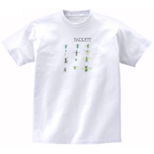 the pastels Tシャツ　Sサイズ　パステルズ　オフィシャル THE PASTELS パステルズ バンドTシャツ オーガニックコットン
