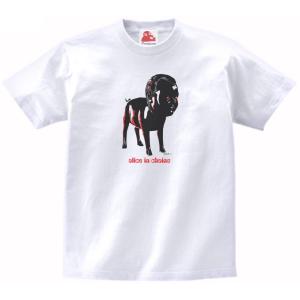 ステレオラブ Stereolab 音楽Tシャツ ロックTシャツ バンドTシャツ