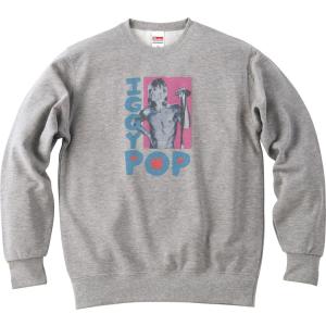 ダイナソーJr. Dinosaur Jr. 音楽 ロック シャツ バンド シネマ 長袖