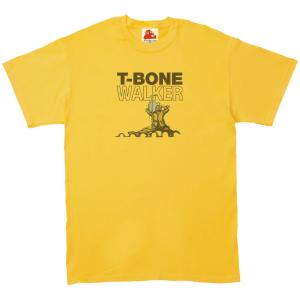 ジョン スペンサー ブルース エクスプロージョン Jon Spencer Blues