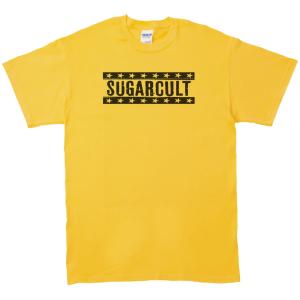 希少 オフィシャルツアーバンドT ティーンエイジファンクラブ TFC 美品 希少 オフィシャルツアーバンドT ティーンエイジファンクラブ TFC 美品