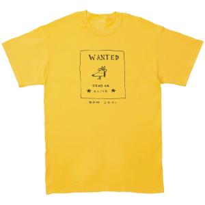リンク・レイ LINK WRAY 音楽Tシャツ ロックTシャツ バンドTシャツ