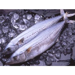 さわらの味噌漬け(1切)瀬戸内名産 讃岐のあら...の詳細画像1
