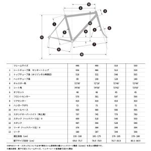 【取寄せ】ANCHOR (アンカー) / BR...の詳細画像4