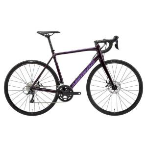 SCULTURA MERIDA メリダ 2024年モデル 200 スクルトゥーラ200