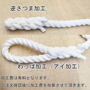 ポリエステルロープ 直径16mm カット販売の詳細画像2