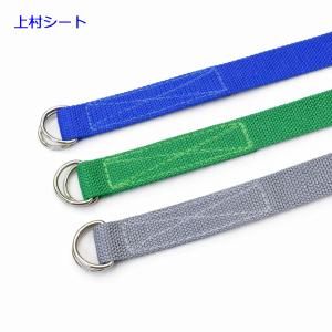 固定ベルト Dカンタイプ 幅25mmx長さ3m PPベルト : 上村シート