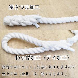 クレモナSロープ 直径10mm カット販売の詳細画像2