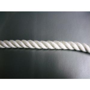 クレモナSロープ 直径22mmx長さ5mの詳細画像1