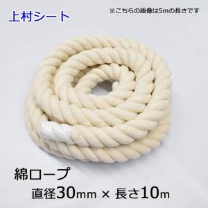 綿ロープ 直径20mm コットンロープ カット販売 : 上村シート ヤフー店