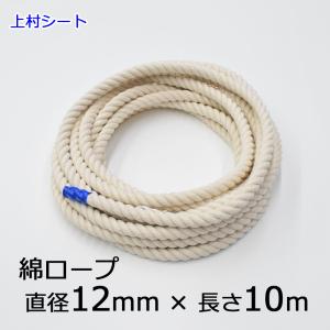 KPロープ ハイクレロープ 16mmx200m : 上村シート ヤフー店 - 通販