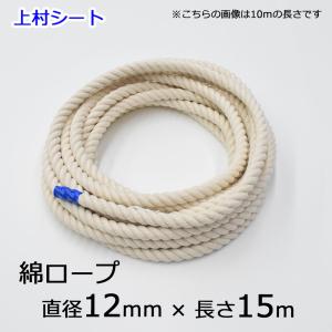 クレモナSロープ 直径10mm カット販売 : 上村シート ヤフー店 - 通販