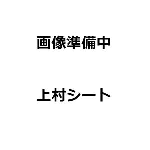 ナイロンロープ 直径 8mm x 長さ 10m｜uemura-sheet