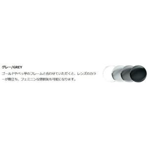 ニコンライト3-BAS XTPG 1.60内面...の詳細画像2