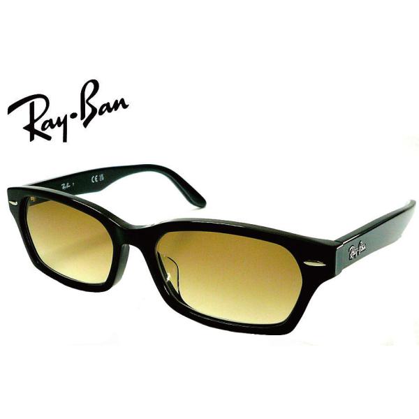 Ray-Ban　RX5344D 2000 BRG 55サイズ ブラウングレデーション （RB5344...