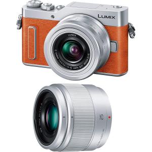 Panasonic パナソニック LUMIX DC-GF10W-D ダブルレンズキット オレンジト ミラーレスデジタル一眼カメラ｜ueno-trade