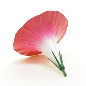 花の構造模型 アサガオの詳細画像2