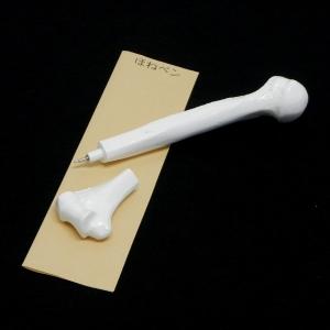 動物プレパラート 20種（顕微鏡標本セット） : 上野科学社Yahoo!SHOP