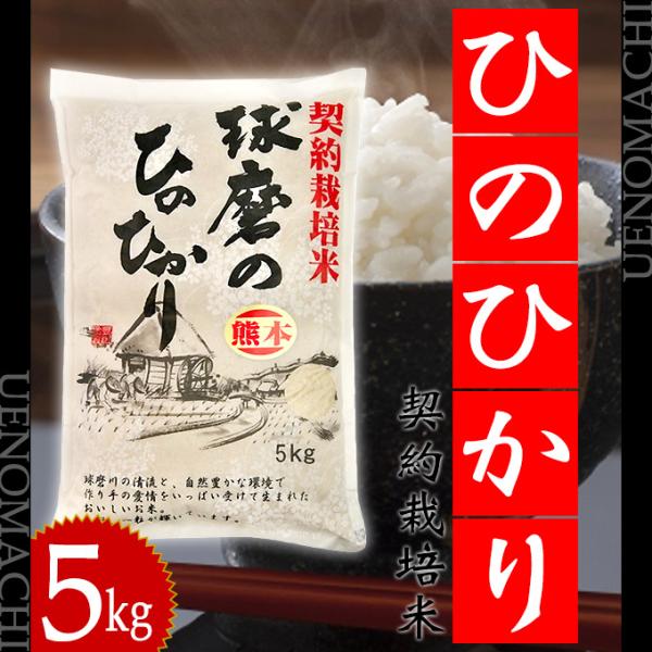 お米 球磨のひのひかり 5kg 熊本県球磨郡産