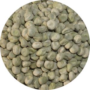 ジーエスフード コショー 300g 胡椒 こしょう GS シルバー : 業務用