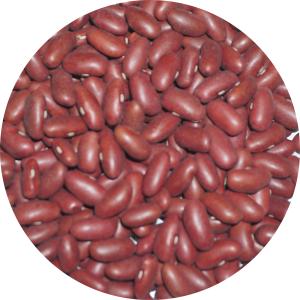 2025年度産 北海道 北斗産 小豆 1kg アメ横 大津屋 azuki bean アズキ
