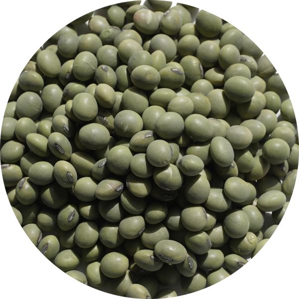 2025年度産 業務用 ひたし豆 20kg 枝豆 浸し豆 ひたし豆 アメ横 大津屋 ミヤギアオ 浸し...