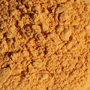 キャロットパウダー 人参 carrot 50gの詳細画像1