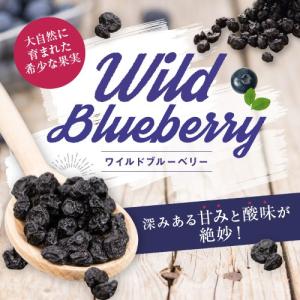 ノンオイル ワイルド ブルーベリー 1kg アメ横 大津屋 業務用 ナッツ ドライフルーツ 製菓材料 blueberry 野生 ぶるーべりー