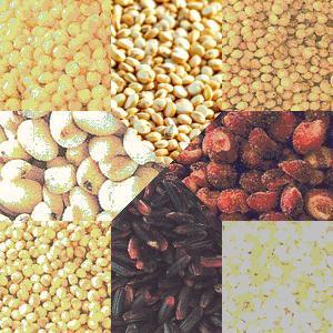 雑穀米セット8種 1kg キビ ヒエ アワ キヌア アマランサス タカキビ 黒米 はと麦