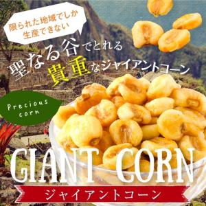 ドラゴンズ・ブレス 100g Dragon's Breath 248万 スコヴィル