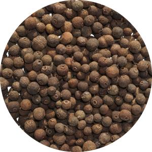 ナツメグ パウダー 粉末 50g アメ横 大津屋 スパイス ハーブ nutmeg