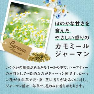 カモミール ジャーマン 50g スパイス カレ...の詳細画像2