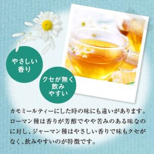 カモミール ジャーマン 50g スパイス カレ...の詳細画像3