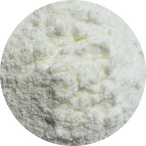 ココナッツミルクパウダー 100g