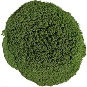 スピナパウダー 50g spinach ほうれん草