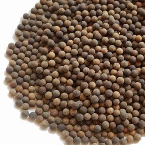 アメ横 大津屋 ブラック タピオカ 150g ...の詳細画像4