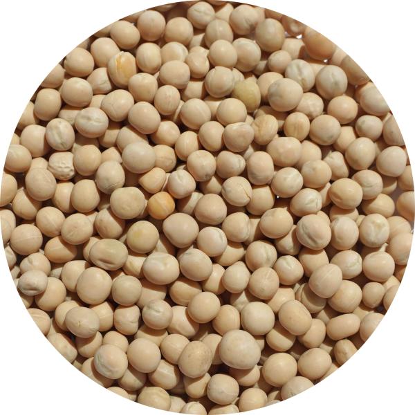ホワイトピース 10kg trapper Peas えんどう豆 ノラマメ pisum sativum...