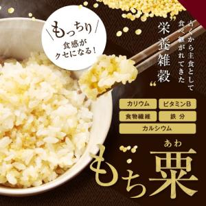 もちあわ 500g アワ 粟 あわ 糯アワ foxtail millet bengal grass 穀物 雑穀米 配送方法 対｜uenoohtsuya