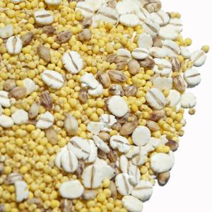 5種雑穀米 500g あわ きび 押し麦 もち...の詳細画像4