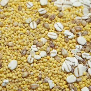 5種雑穀米 500g あわ きび 押し麦 もち...の詳細画像5