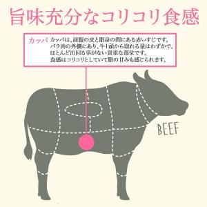 黒毛和牛カッパすじ<500g> 焼肉 牛肉 バ...の詳細画像2