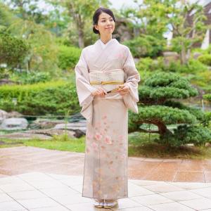レンタル 夏用 絽 訪問着 フルセット 高級 ROHO-077 薄桜色 結婚式