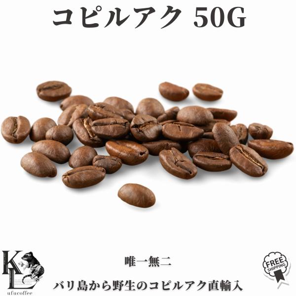 ジャコウネココーヒー コピルアク コピルアック コーヒー豆 珈琲豆 50g