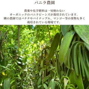 バニラビーンズ 業務用 最安値 ブルボンバニラ...の詳細画像4