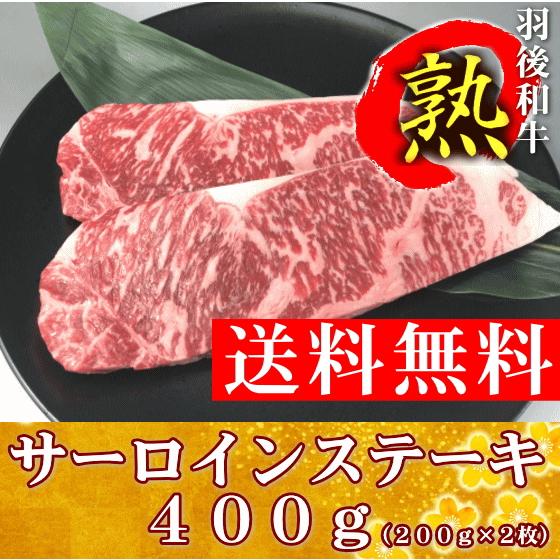 【送料無料！お歳暮セール】羽後和牛熟　サーロインステーキ　４００ｇ