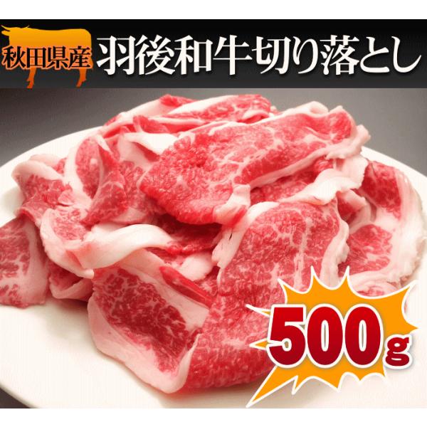羽後和牛切り落とし　500ｇ　
