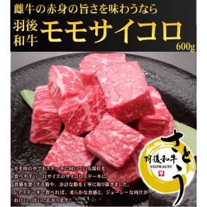 羽後和牛モモ切り落としサイコロステーキ　６００g（３００ｇ×２パック）｜ugowagyu-sato