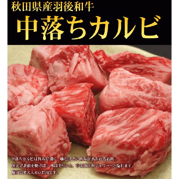 羽後和牛　中落ちカルビ　１００g